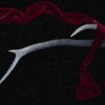 thy ardiye hizmeti esyalariniz guvende cebinizde