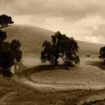 thy kargo ozet beyani kafanizdaki soru isaretlerini noktala