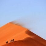 thy ozet beyan ihracatcilar icin mutlaka bilmeniz gerekenle