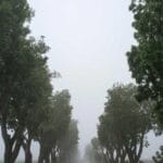 trendyol avrupada kanatlarini aciyor 2025 kargo isbirlikle