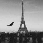 trendyol yurtdisi alisveris hangi hazineleri kesfetmelisini