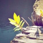 trendyoldan fransaya kargo bir uzmanin gozunden