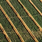 trendyoldan hollandaya alisveris kolay mi zor mu kargo