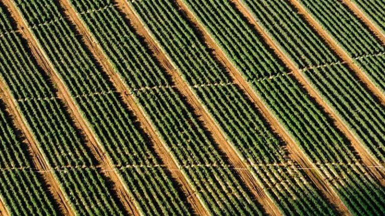 trendyoldan hollandaya alisveris kolay mi zor mu kargo