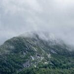 trendyoldan yurtdisi alisverisiniz takip etmenin en kesin