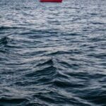 trendyoldan yurtdisina alisveris nelere dikkat etmeli