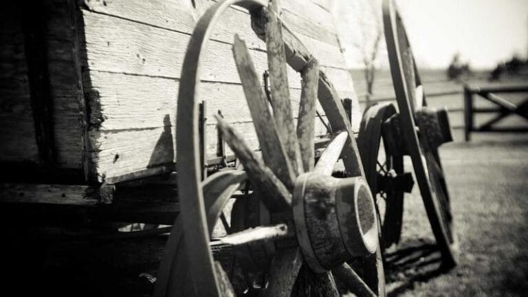 trendyoldan yurtdisina kargo gondermek pratik bilgiler ve