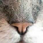 trendyoldan yurtdisina urun gonderme akillica alisveris