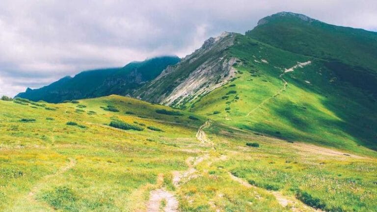 trendyolla yurtdisina kargo fiyatlar secenekler ve kucuk