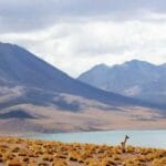 trendyolun yurtdisi kargo hizmetleri dunya kapiniza geliyo