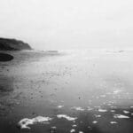 ucakla cenaze nakli gerekli belgeler ve ucus oncesi hazirli