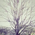 ummana kargo gondermek denizlerin efendileri ve lojistigin