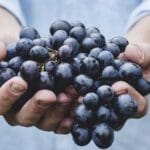 urdune kargo orta dogunun kalbindeki lojistik agi