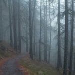 venezuelaya kargo ekonomik krizin lojistik labirentinde yo