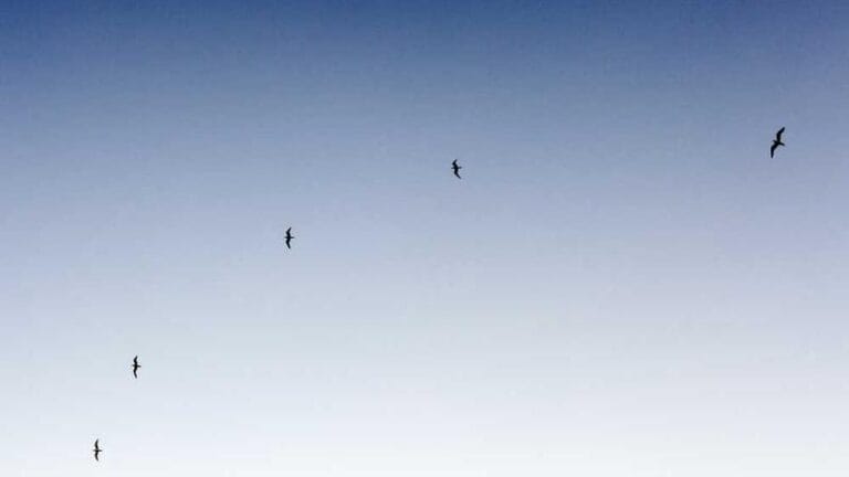 yunanistana kargo gonderirken nelere dikkat etmeli kara mi