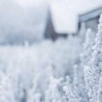 yurt disina hizli gonderi puf noktalari ve ipuclari