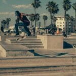 yurtdisina evcil hayvan tasimaciligi tuylerinizi dokmeden