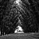 belize kargo 2025 cennet adasina giden yolculugunuzda neler