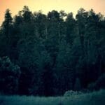 fildisi sahiline kargo gondermek 2025 ve otesi