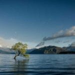 kameruna kargo gondermek 2025te nasil olacak