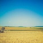 marshall adalarina hava kargo 2025 ve otesi