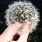 mauritius kargo sektoru 2025 ve otesi