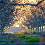 saint luciaya kargo gondermek 2025 ve otesi icin tam bir r