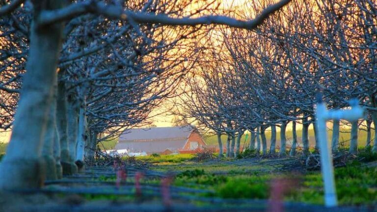 saint luciaya kargo gondermek 2025 ve otesi icin tam bir r