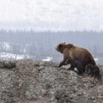 seyseller hava kargo 2025 hint okyanusunun uzerinden bir b