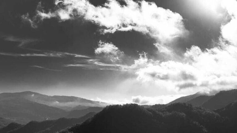 siliye kargo gondermek 2025 yeni bir yil yeni olanaklar