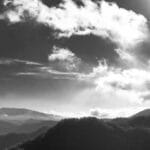 tonga hava kargo sektorunun 2025 yilinda beklentileri