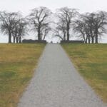 vatikan kargo 2025 kuresel lojistigin kutsal topraklari