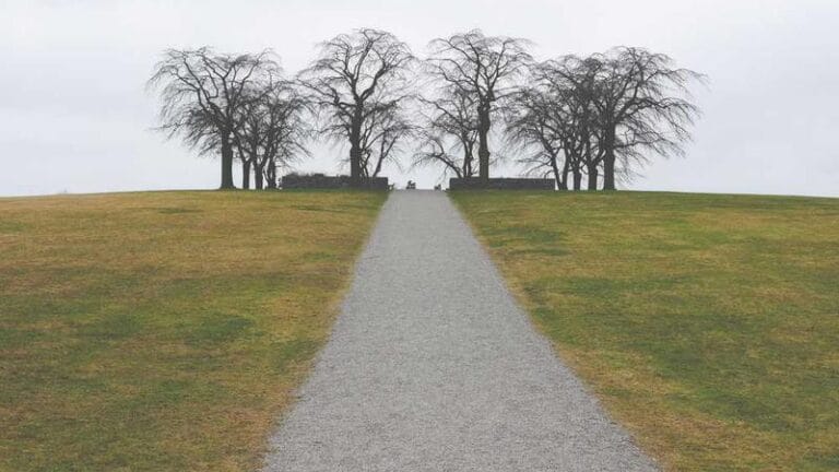 vatikan kargo 2025 kuresel lojistigin kutsal topraklari