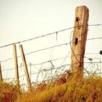 zambiyaya kargo gondermek 2025 ve sonrasi