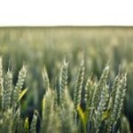 hava kargo ve dis ticaret bastan sona bir bakis