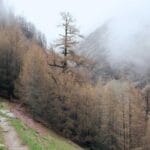 arabistan hediye gonderimi