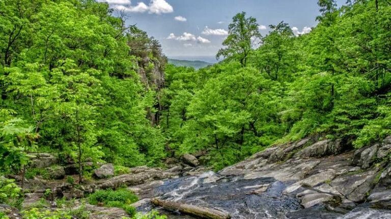 arjantin evrak gonderimi