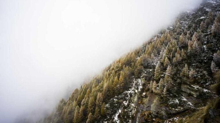 aruba evrak gonderimi