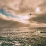 benin koli gonderimi