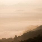 beyaz rusya numune gonderimi