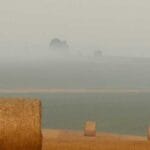 bouvet adasi ptt kargo