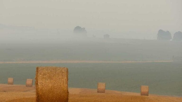 bouvet adasi ptt kargo