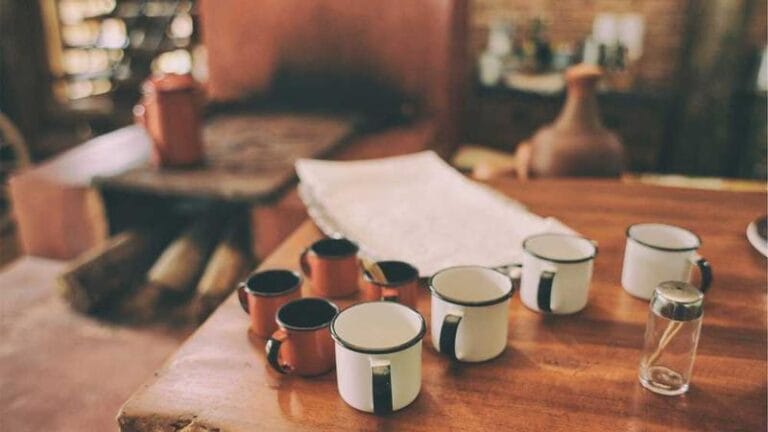 bulgaristan ups kargo