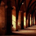 christmas adasi fedex kargo