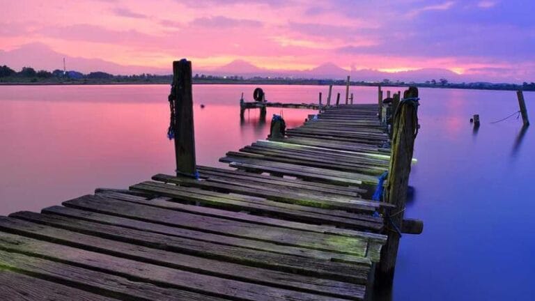 dominik koli gonderimi