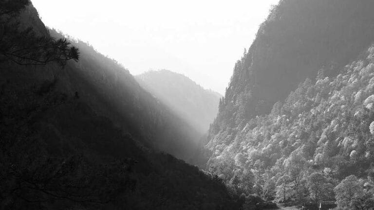 fransa numune gonderimi