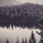 georgia adalari ekspres kargo