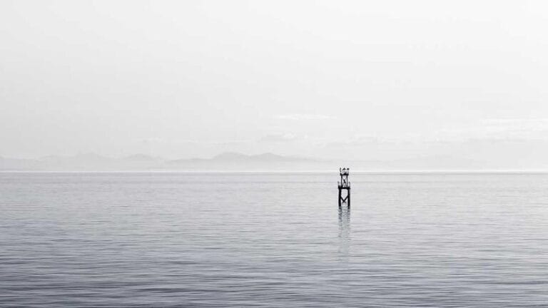 georgia adalari hediye gonderimi