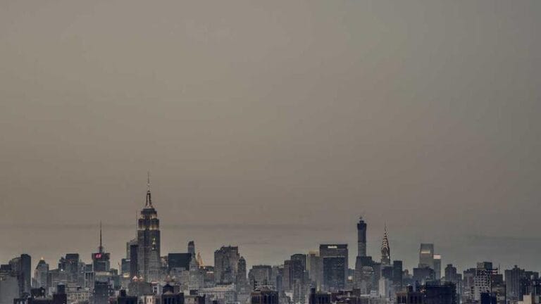 granada numune gonderimi