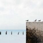 guatemala hediye gonderimi